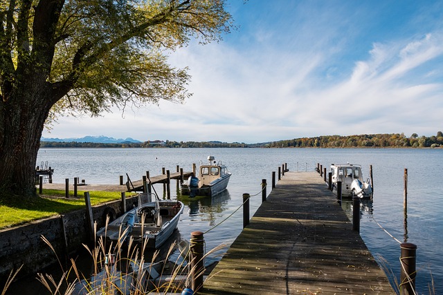 分析为未来 分析为未来