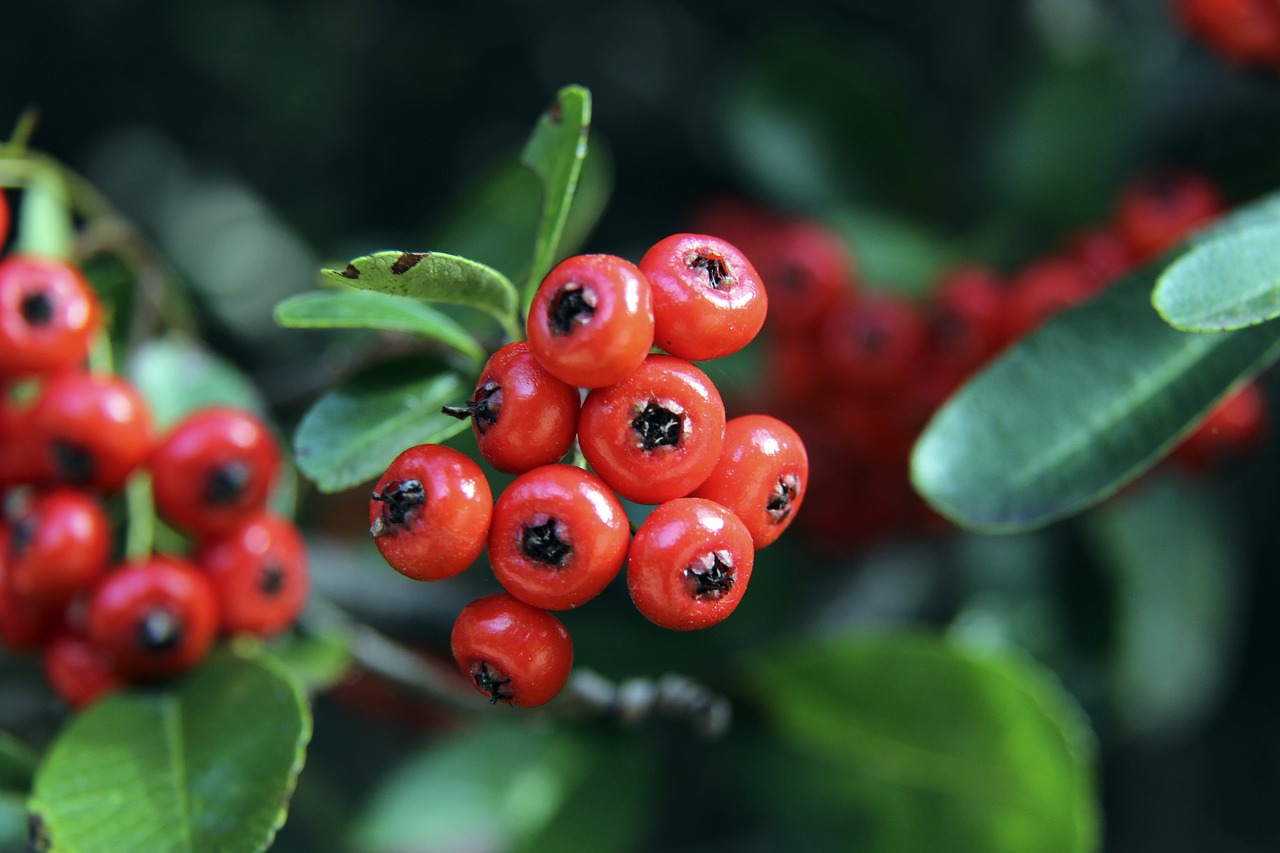 响赛季结局 响赛季结局