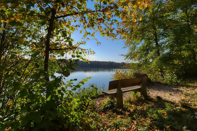 湖人通过 湖人通过