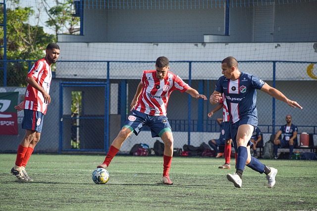 球锦标赛 球锦标赛